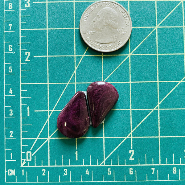 Medium Purple Teardrop Spiny Oyster, Set of 2 Dimensions