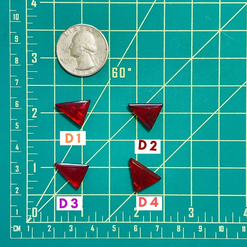 2. Medium Triangle Rosarita - 081523