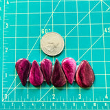 Medium Purple Teardrop Spiny Oyster, Set of 6 Dimensions
