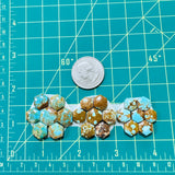 Small Mixed Hexagon Number 8 Turquoise, Set of 21 Dimensions