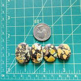 Large Yellow Mixed Giraffe Turquoise, Set of 4 Dimensions