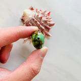 Large Sea Green Oval Treasure Mountain Beads Extra