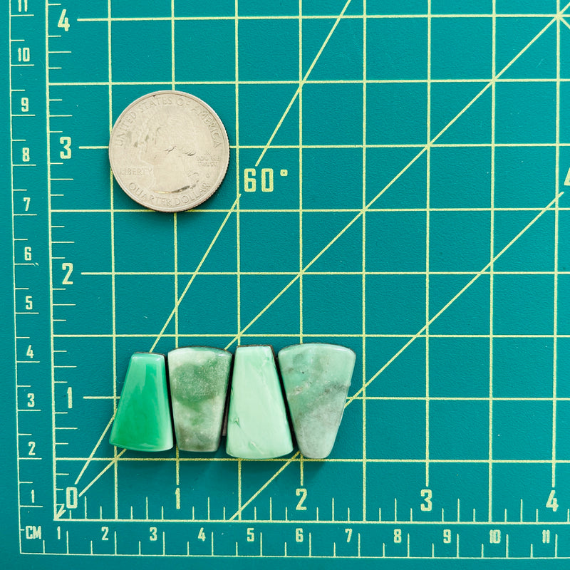 Medium Mint Green Petal Lucid Variscite, Set of 4 Dimensions