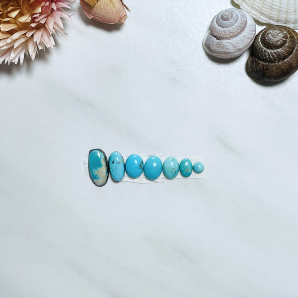 Small Ocean Blue Oval Prince Egyptian Turquoise, Set of 7 Background
