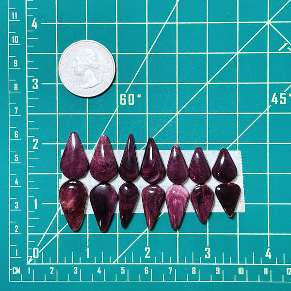 Medium Purple Teardrop Spiny Oyster, Set of 14 Dimensions