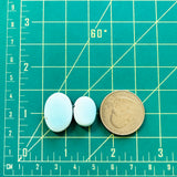 Medium  Sky Blue Oval Sleeping Beauty Turquoise, Set of 2 Dimensions