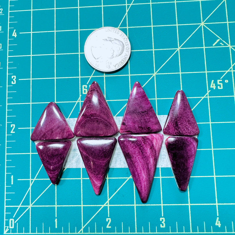 Large Purple Triangle Spiny Oyster, Set of 8 Dimensions