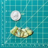 Medium Mint Green Petal Treasure Mountain Turquoise, Set of 4 Dimensions