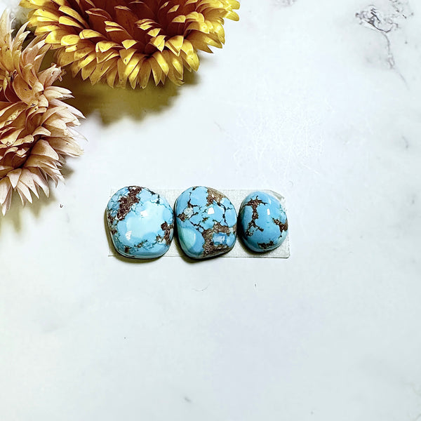 Small Sky Blue Freeform Golden Hills Turquoise, Set of 3 Background