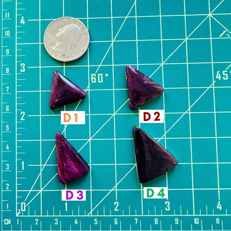 1. Medium Triangle Spiny Oyster - 031524