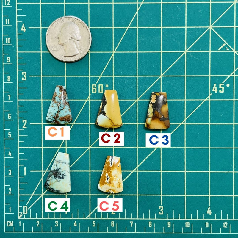 4. Medium Petal Treasure Mountain 012823 Turquoise Moose