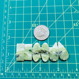 Large Lime Green Mixed Green Serpentine Serpentine, Set of 6 Dimensions