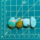 Large Sky Blue Freeform Royston Turquoise, Set of 4 Dimensions