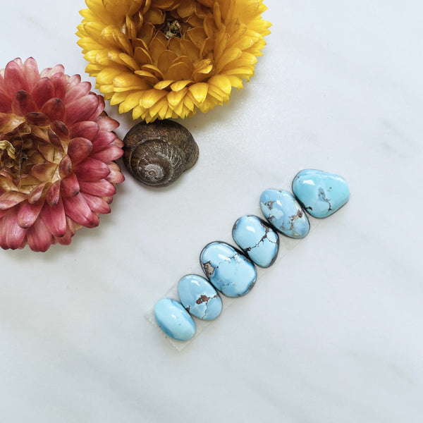 Medium Sky Blue Mixed Golden Hills Turquoise, Set of 6 Background
