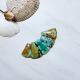 Large Mixed Petal Mixed Turquoise, Set of 5 Background