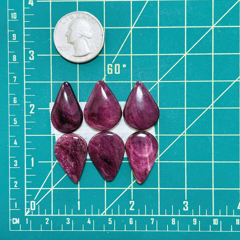Medium Purple Teardrop Spiny Oyster, Set of 6 Dimensions