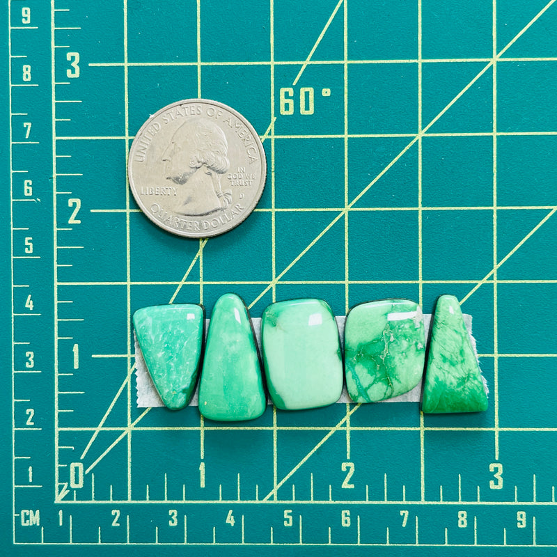 Medium Mint Green Mixed Lucid Variscite, Set of 5 Dimensions