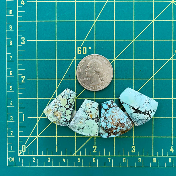 Medium Mixed Trapezoid Wild Horse Turquoise, Set of 4 Dimensions