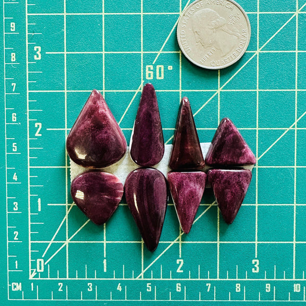 Medium Purple Mixed Spiny Oyster, Set of 8 Dimensions