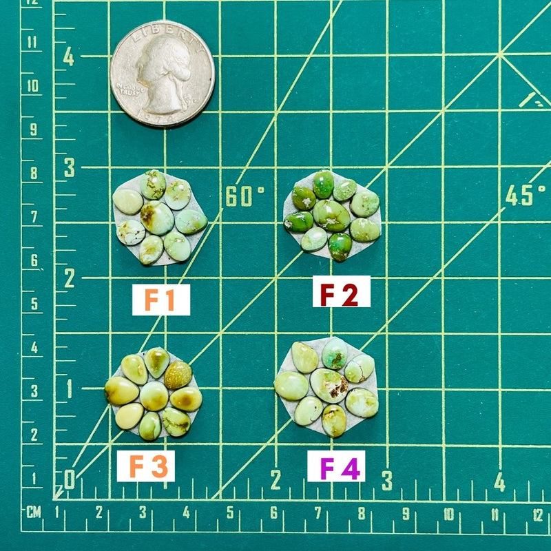 1. Small Mixed Sonoran Lime, Set of 8 - 091923