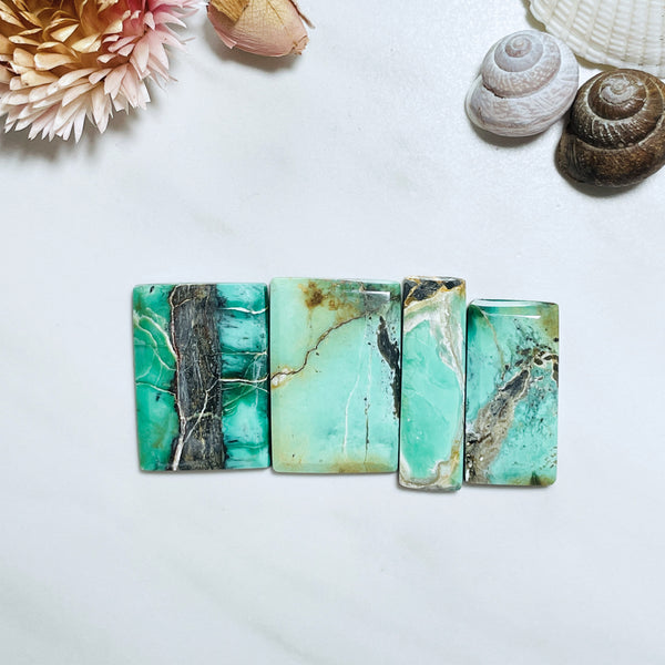 Large Sea Green Mixed Crescent Lake Variscite, Set of 4 Background