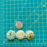 Large Mixed Round Wild Horse Turquoise, Set of 3 Dimensions