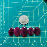 Medium Purple Oval Spiny Oyster, Set of 5 Dimensions