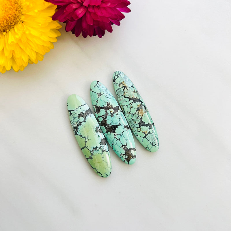 Large Faint Green Surfboard Wild Horse Turquoise, Set of 3 Background