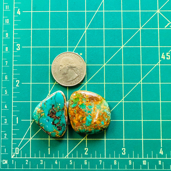 Large Sea Green Freeform Royston Turquoise, Set of 2 Dimensions