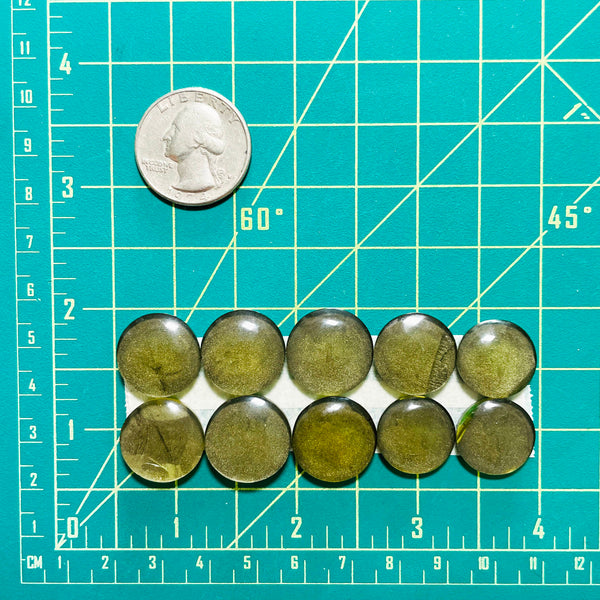 Medium Swamp Green Round Rosarita, Set of 10 Dimensions