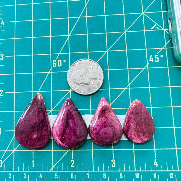 Large Purple Teardrop Spiny Oyster, Set of 4 Dimensions