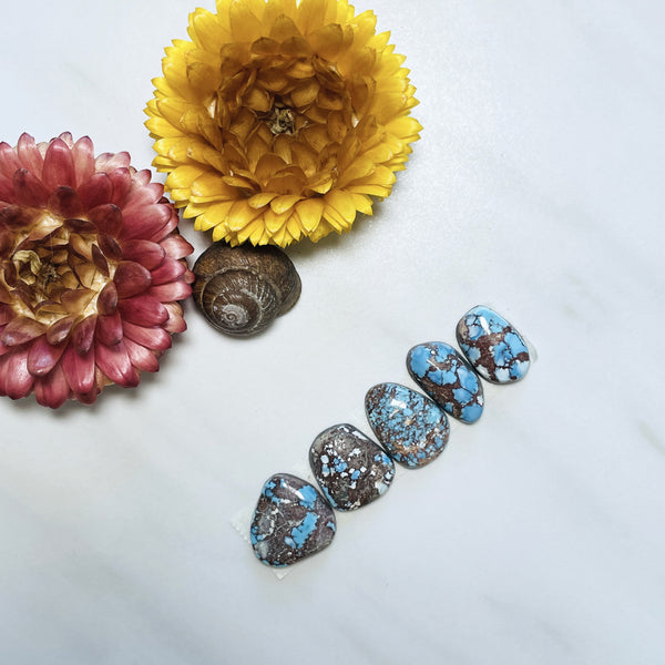Medium Sky Blue Freeform Golden Hills Turquoise, Set of 5 Background