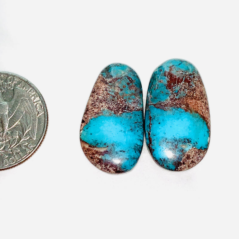 Large Sky Blue Freeform Bisbee Turquoise, Set of 2 Dimensions