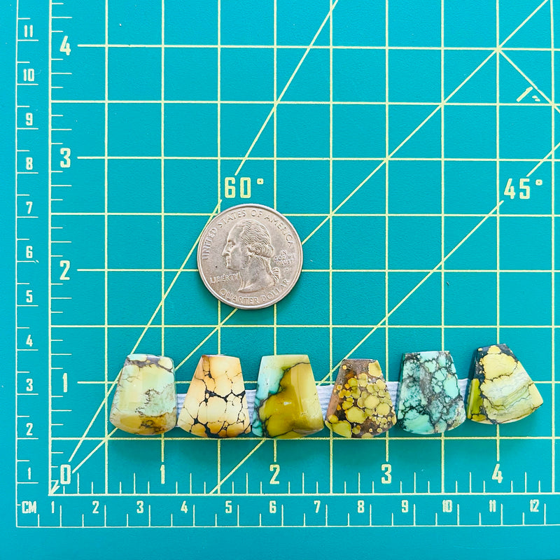 Medium Mixed Freeform Mixed Turquoise, Set of 6 Dimensions