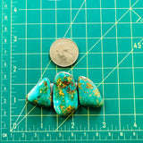Large Sea Green Freeform Royston Turquoise, Set of 3 Dimensions