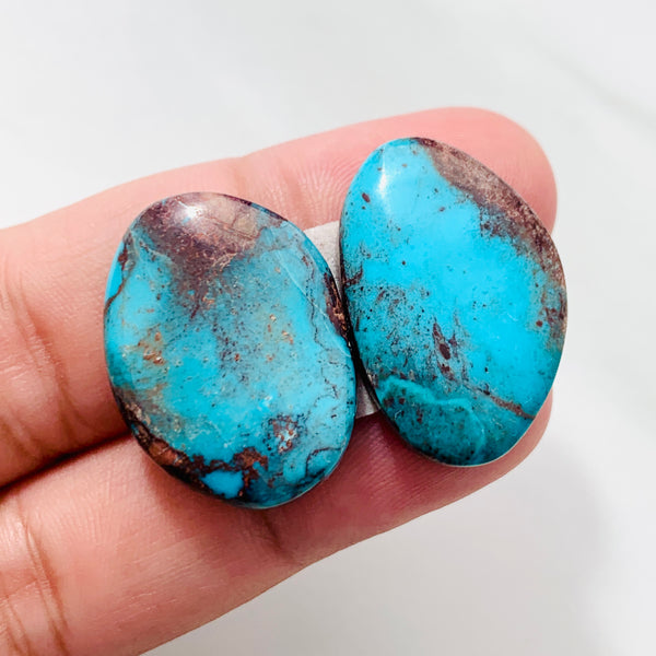 Natural Bisbee Turquoise Cabochons – Turquoise Moose