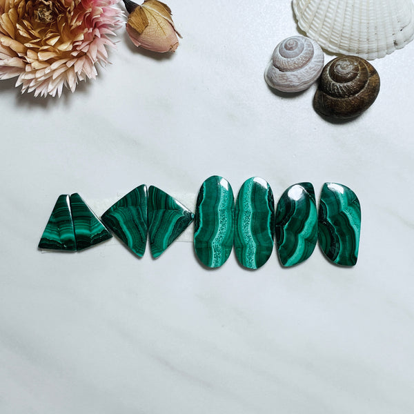 Large Deep Green Mixed Malachite Copper Mineral, Set of 8 Background
