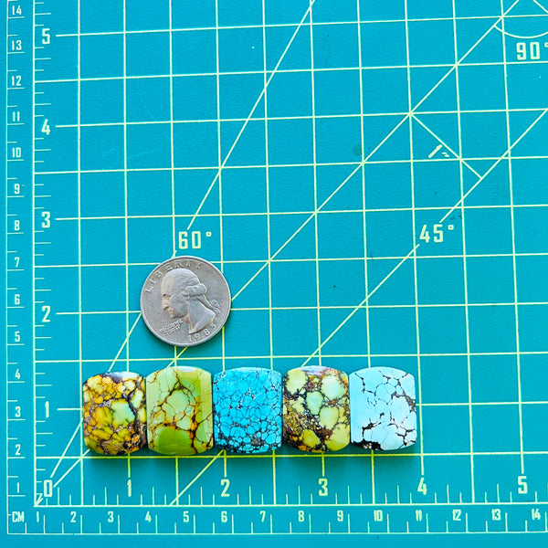 Medium Mixed Barrel Mixed Turquoise, Set of 5 Dimensions