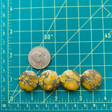 Medium Royal Orange Round Treasure Mountain Turquoise, Set of 4 Dimensions