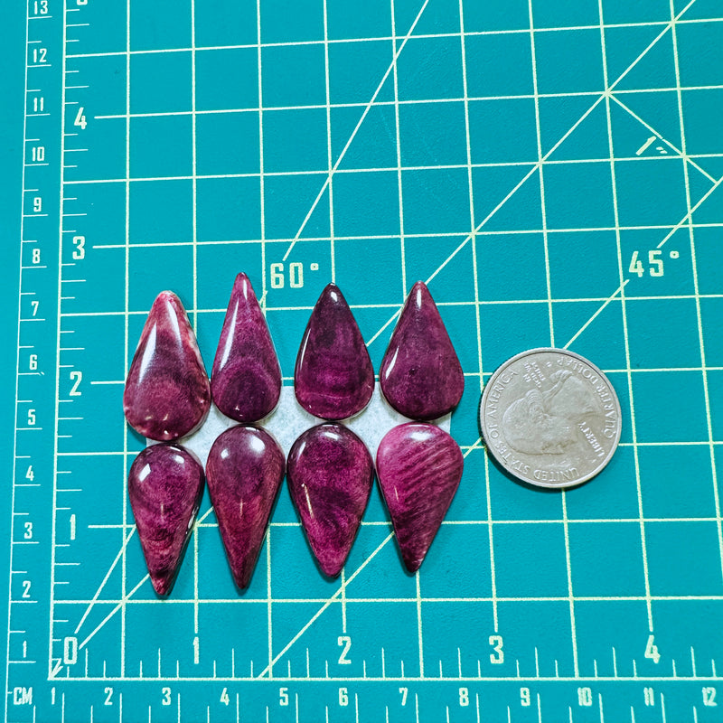 Large Purple Teardrop Spiny Oyster, Set of 8 Dimensions