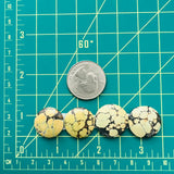 Medium Royal Orange Round Treasure Mountain Turquoise, Set of 4 Dimensions