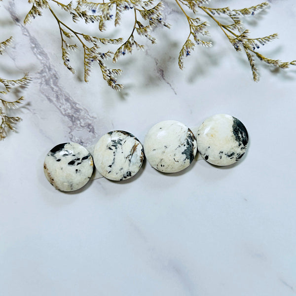 Medium White Round White Buffalo Dolomite, Set of 4 Background