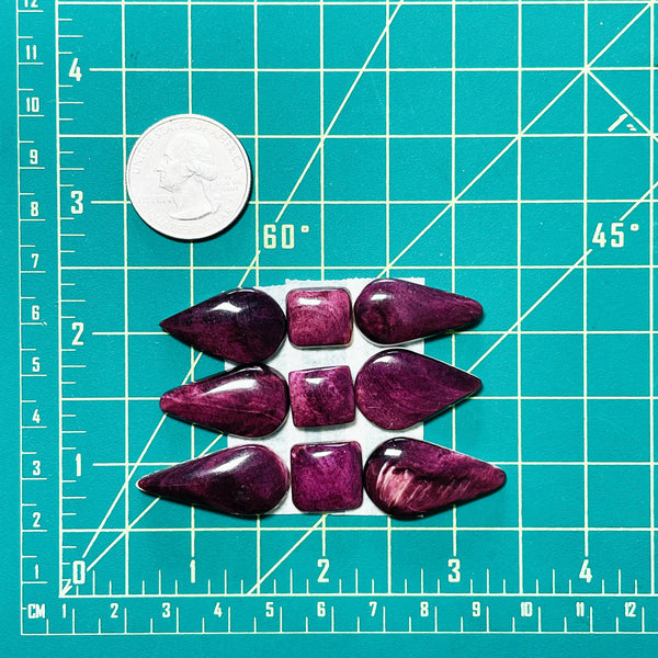 Large Purple Mixed Spiny Oyster, Set of 9 Dimensions