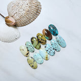 Medium Mixed Oval Mixed Turquoise, Set of 12 Background