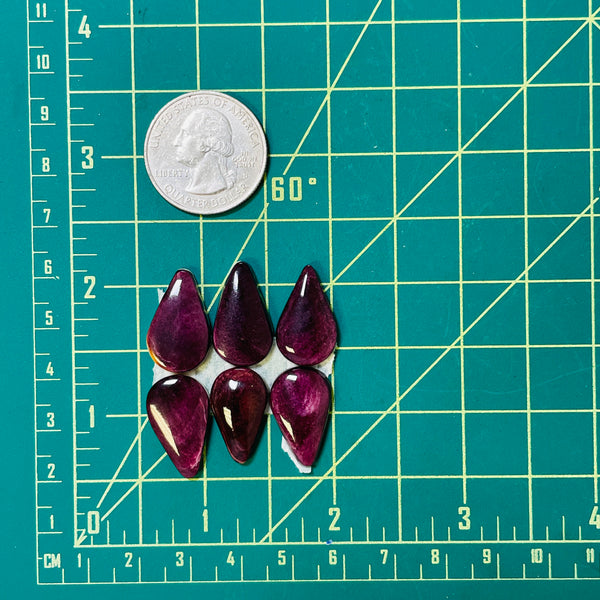 Small Purple Teardrop Spiny Oyster, Set of 6 Dimensions