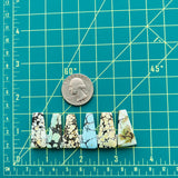 Medium Mixed Trapezoid Mixed Turquoise, Set of 6 Dimensions