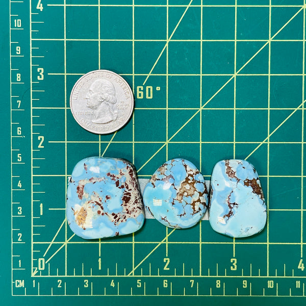 Large Sky Blue Freeform Golden Hill Turquoise, Set of 3 Dimensions