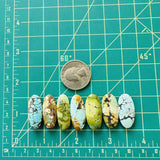 Large Mixed Oval Mixed Turquoise, Set of 7 Dimensions