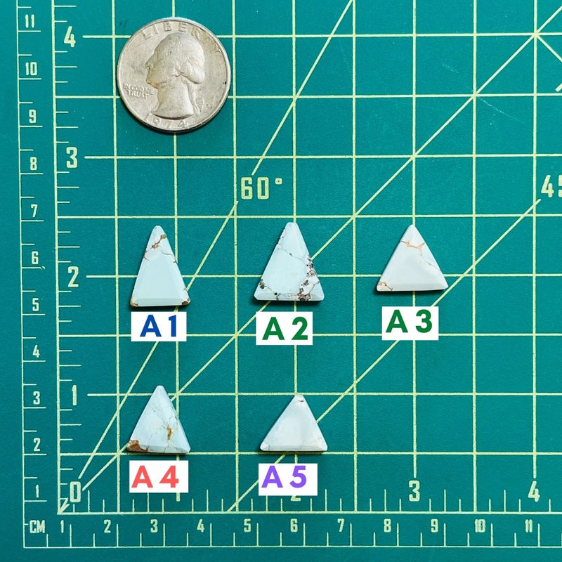 4. Small Triangle Sand Hill - 082923