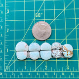 Small Faint Blue Half Moon Sand Hill Turquoise, Set of 10 Dimensions